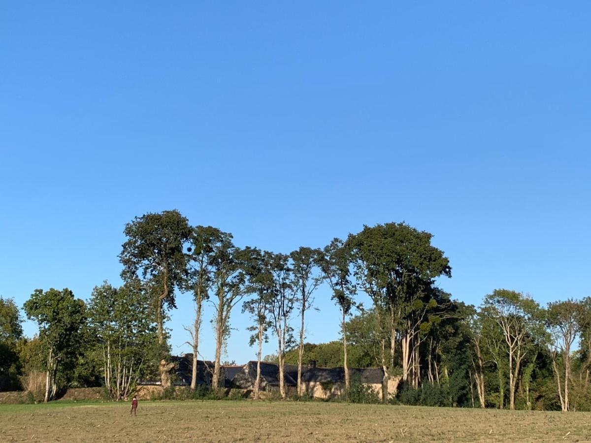 Jolie Metairie D'Une Seigneurie Bretonne. Peaule 外观 照片